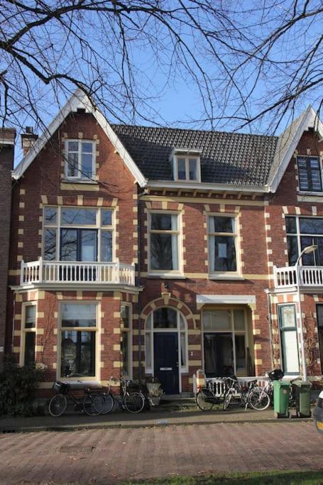 Hidden Pearl Family * Haarlem